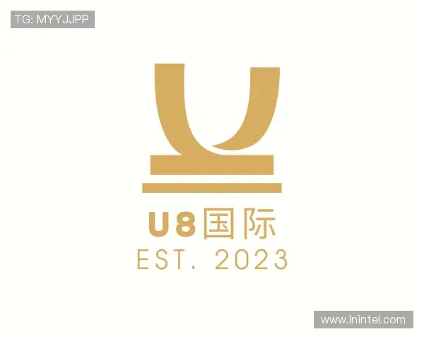 认识U8国际